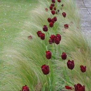 Meet your Posher, Deandre